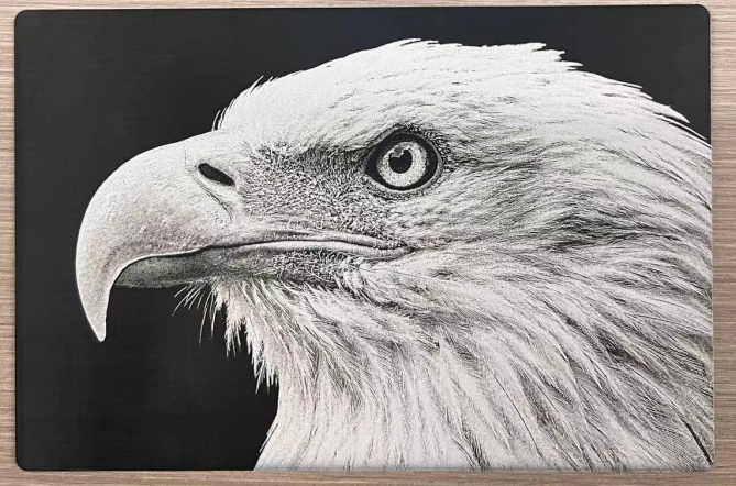 laser engraving photo on ABS
